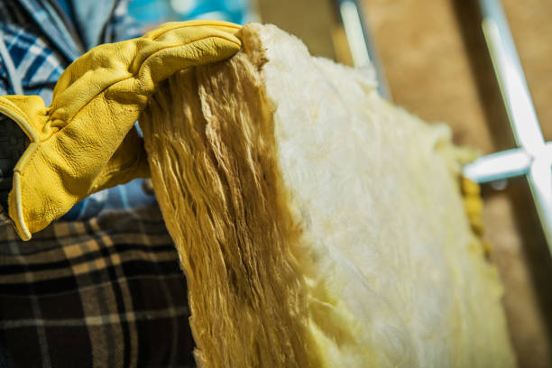 Best Blown-in Insulation  in Jackpot, NV