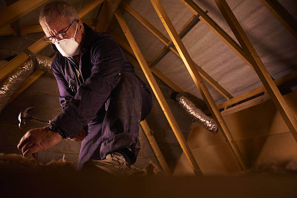 Best Insulation Contractor Near Me  in Jackpot, NV